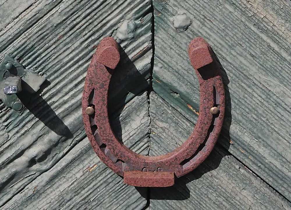 Tuer mit Hufeiesen Wolfgangsee DSCN2331x