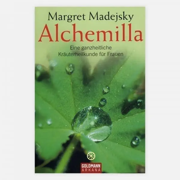 Alchemilla