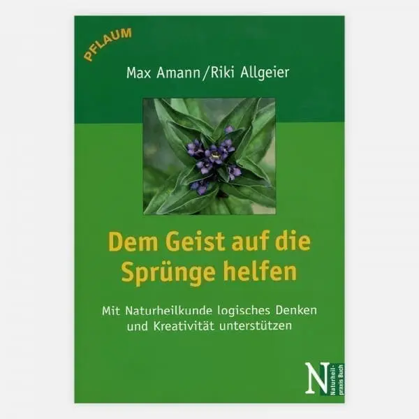 Dem Geist auf die Sprünge helfen - leider vergriffen