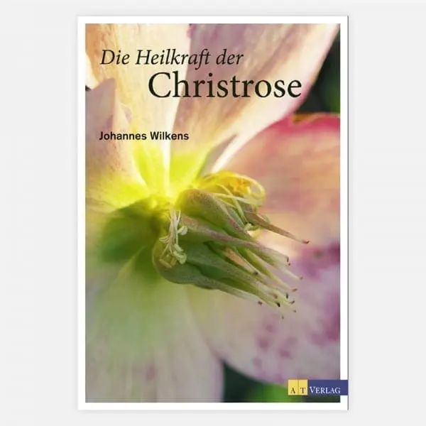 Die Heilkraft der Christrose