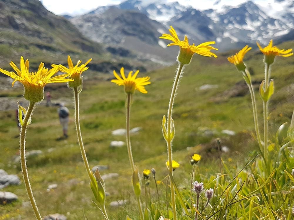 Aufmacher 20180701_151902